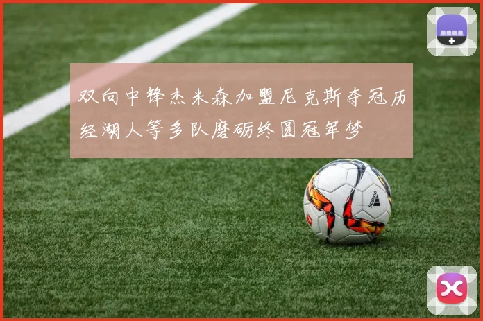 双向中锋杰米森加盟尼克斯夺冠历经湖人等多队磨砺终圆冠军梦