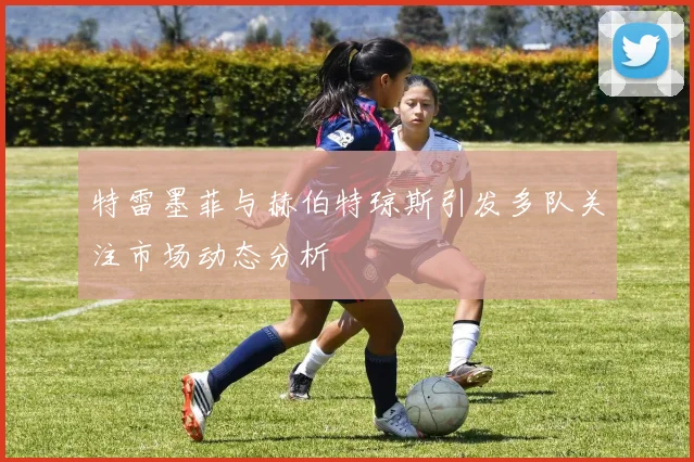 特雷墨菲与赫伯特琼斯引发多队关注市场动态分析